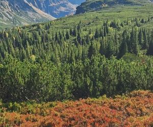 Tatry jesienią 2025