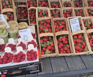 Drożyzna na targowiskach? Nie w Olsztynie. Tu kupisz truskawki w dobrej cenie!