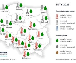 Pogoda długoterminowa IMGW na zimę 2024/2025