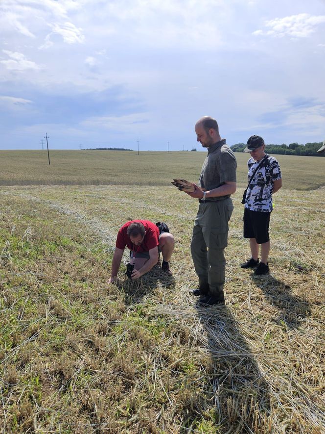 Akcja na polu, gdzie znaleziono Wampirkę z Pnia. Młodzi chodzili z detektorami, niedługo wracają tam archeolodzy