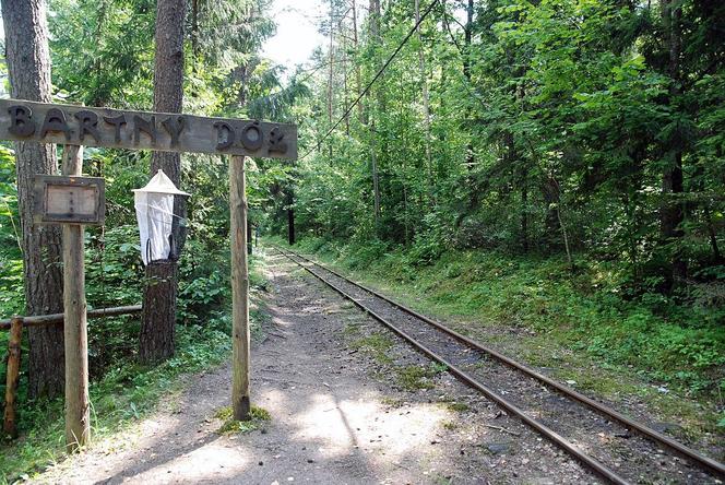 Wigierski Park Narodowy. To bezcenny obszar podlaskiej natury