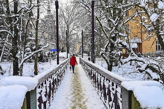 Zima 2021 w Sopocie. Kurort pod grubą warstwą śniegu 11.02.2021 r.