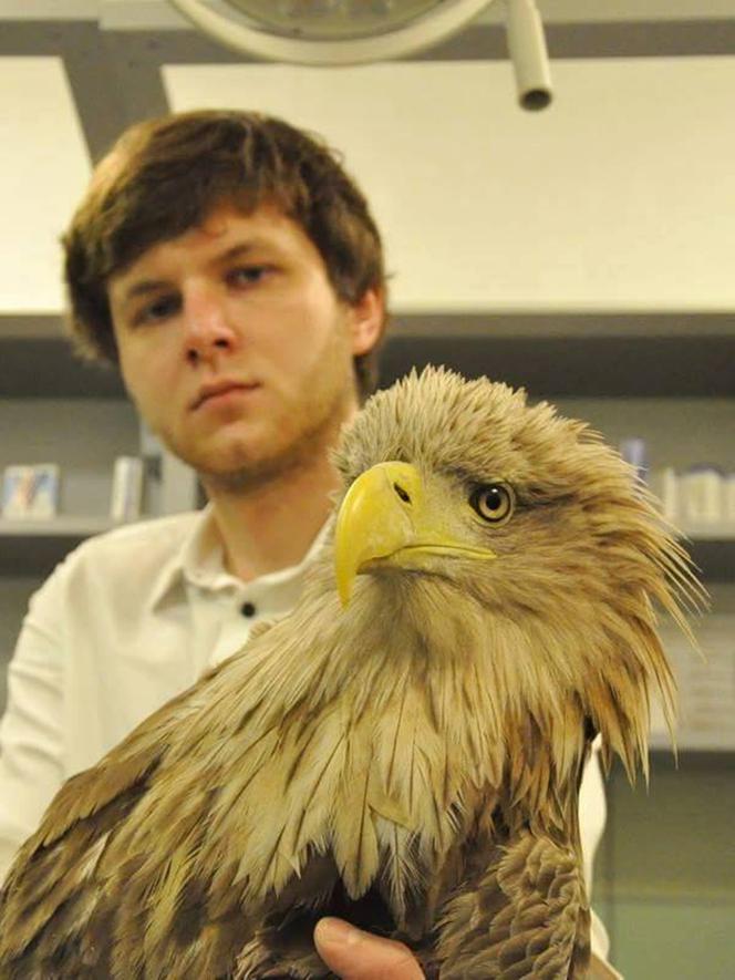 Szpital dla leśnych zwierząt