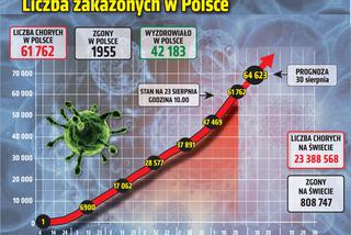 Koronawirus w Polsce. Wykresy 23.08.2020