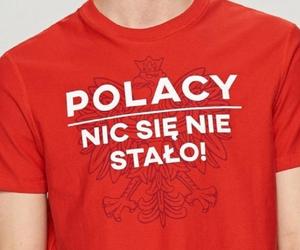 Te memy warto sobie zapisać. Po meczach Polaków na Euro 2024 mogą dostać drugie życie