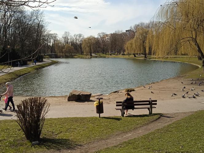 Wiosna w Kielcach. Coraz więcej zieleni i spacerowiczów w parku miejskim