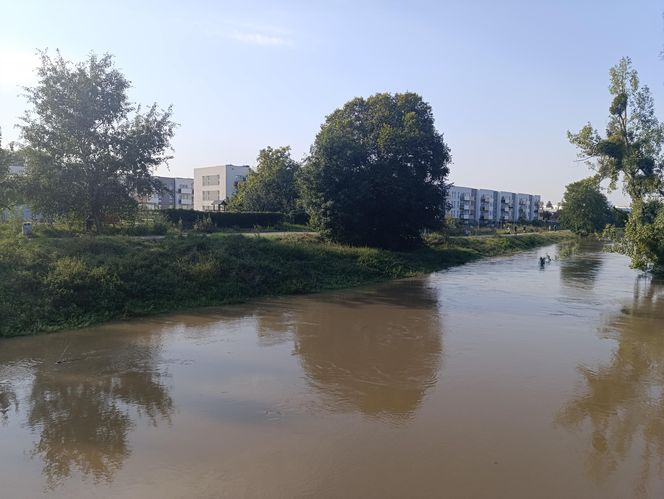 Stan rzeki Ślęza cały czas się podnosi. Przekroczono już stan alarmowy. Jak wygląda sytuacja?