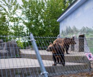 Spacer po zoo w Zamościu