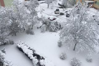 Śnieżny armagedon w Białymstoku. Sytuacja jest trudna, ale nie beznadziejna [ZDJĘCIA, WIDEO]