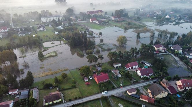 Powódź w Lubuskiem. Odra zalała ulice w Osiecznicy.