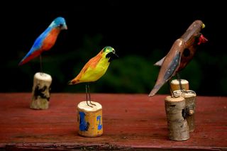 Adamkowo, czyli Ptasia Wioska, najmniejsza taka w kraju. Gdyby na raz przyjechało 36 turystów, byłoby ich więcej niż mieszkańców wsi