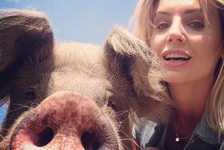 Agnieszka Szulim zrobiła sobie słodkie selfie... ze świnią!