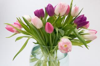 Dodaję łyżeczkę tego płynu do wody z kwiatami. Sprawdzony sposób na to, by tulipany długo stały w wazonie