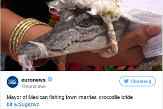 Ślub człowieka z krokodylem! To nie żart