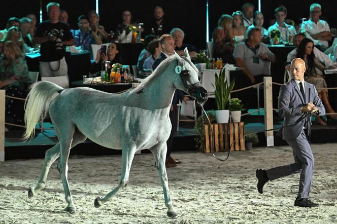 Porażka Pride of Poland 2024? Zyski są zdecydowanie niższe niż rok temu