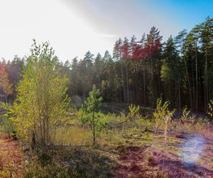 Pogoda zmieni się o 180 stopni! Temperatury do 16 stopni to nie wszystko