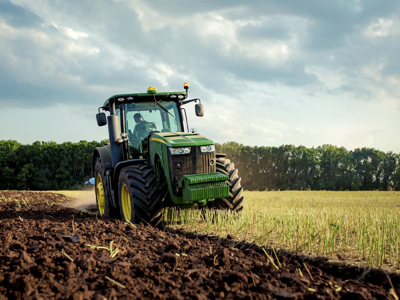 Rząd dopłaci rolnikom. Znamy kwoty dopłaty do hektara