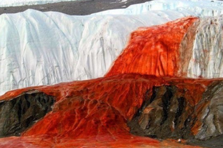 Przerażający widok na Antarktydzie, woda ma kolor krwi! Czym jest „krwawy wodospad”? [WIDEO]