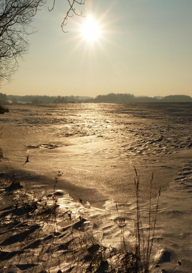 Park Krajobrazowy Wzniesień Łódzkich