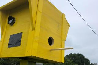 W Ustroniu Morskim powstał nietypowy fotoradar