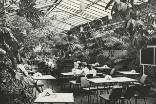 Palmiarnia Zielonogórska kilkadziesiąt lat temu