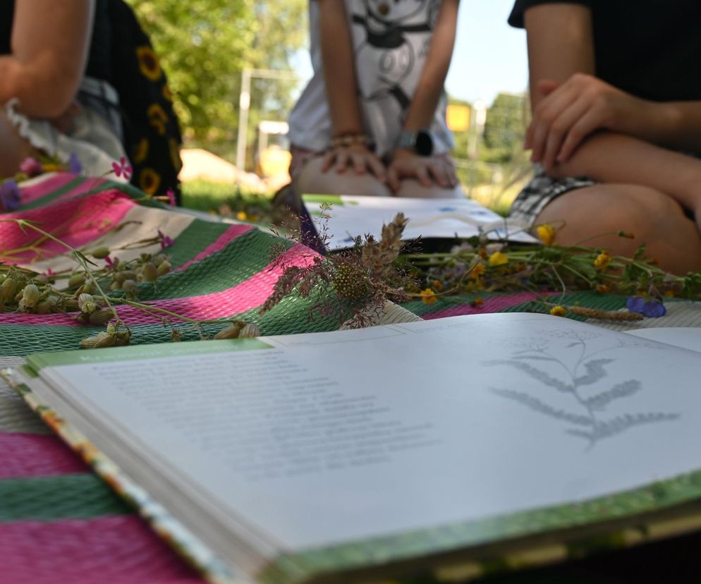 Lato w bibliotece - nie tylko z książką. Program na lipiec już dostępny!