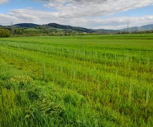 Uwaga podczas prac polowych. Przypomina policja z Nowego Sącza!