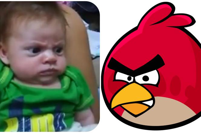 Angry Kid i Angry Bird