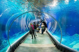 ZOO Wrocław - bilety, cennik 2023, godziny otwarcia. Jak dojechać? Mapa, parking