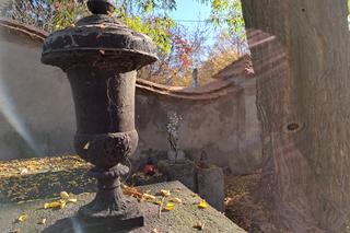 Remont ogrodzenia Starego Cmentarza w Tarnowie. MZC ma już plany prac