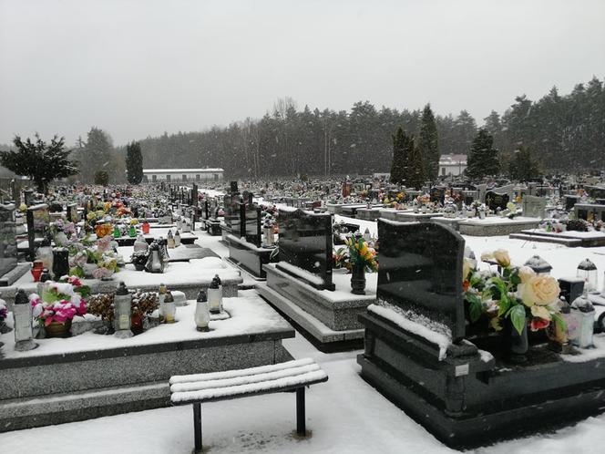 Trzebinia. W ciągu ostatniego półtora roku powstało tu około 25 zapadlisk. To oficjalne dane, bo mieszkańcy mówią nawet o dwukrotnej liczbie