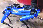 Robodogi straszą nowojorczyków