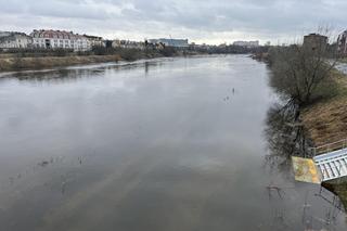 Poziom Warty w Poznaniu najwyższy od lat. Warta i Cybina zalewają pobliski teren