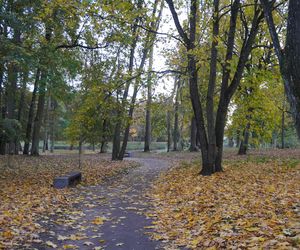 Park Lubomirskich w Białymstoku jesienią 