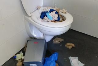 Niszczymy publiczne szalety na potęgę. Torunianie muszą zadowolić się „ToiToiami” [FOTO]