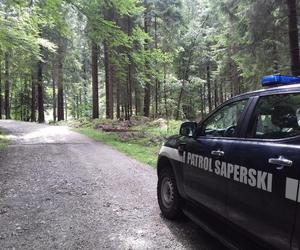 Akcja saperów w okolicach Wodospadu Szklarki w Karkonoszach. Znaleziono niemal 1300 niewybuchów