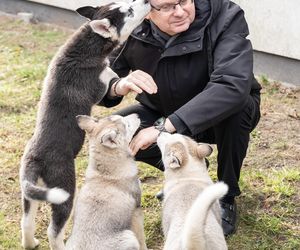  Dzięki programowi nowy dom znalazło ponad 300 piesków