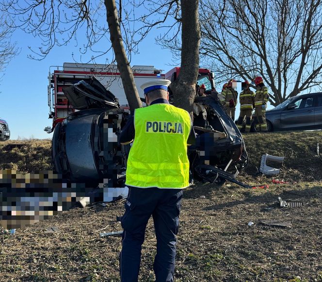 Tragedia na drodze pod Nysą. Samochód wjechał w drzewo. Nie żyją cztery osoby