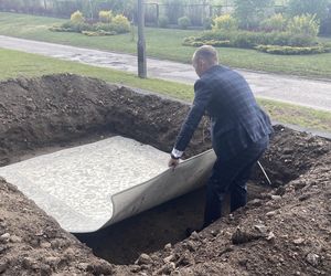 Dywany Agnella Brintons. Kolekcja 2025
