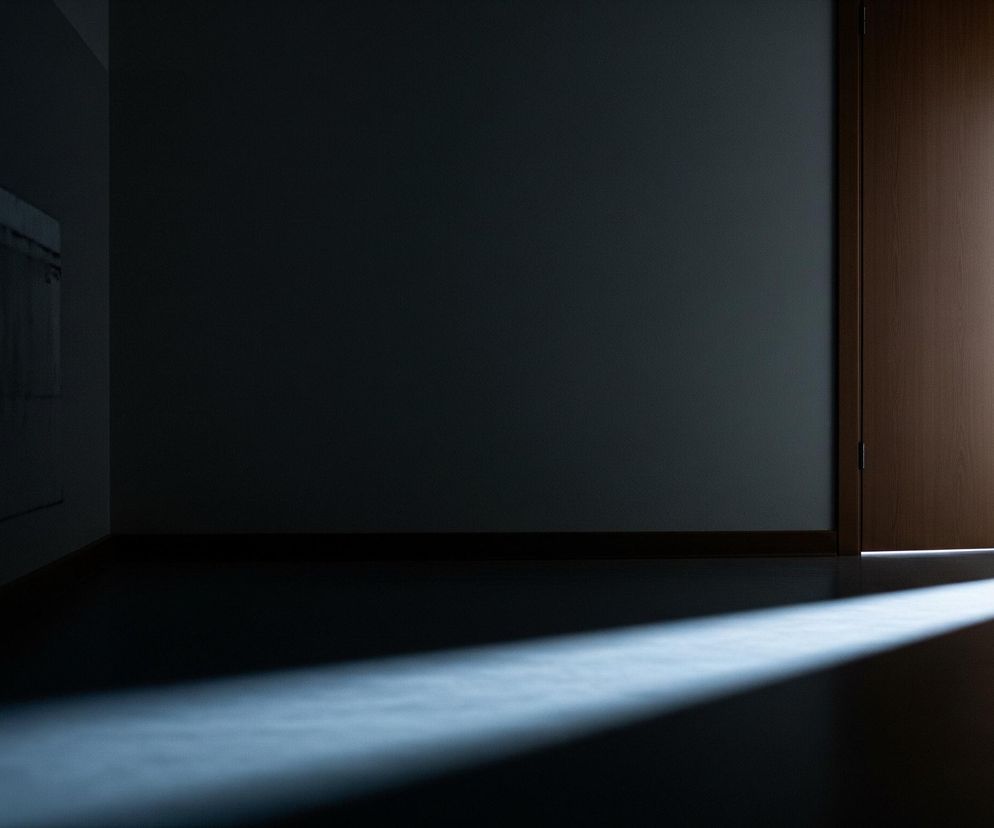 Półotwarte drewniane drzwi z czarną klamką i zamkiem znajdują się po prawej stronie kadru. Przez niewielką szczelinę u dołu drzwi oraz zza nich wpada jasne światło, tworząc długi, ukośny snop światła na ciemnej podłodze i fragmentach ścian. Reszta pomieszczenia jest pogrążona w cieniu, a na lewej ścianie widać słabo zarysowane elementy, być może kratki wentylacyjne.