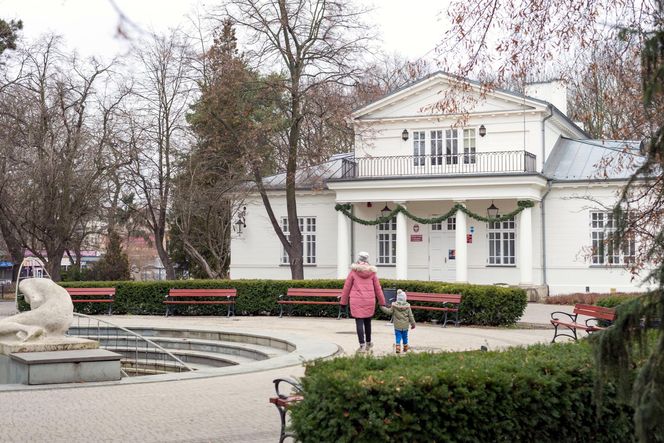 Gęstość zaludnienia w Polsce. W tych miejscowościach żyje się jak w ulu