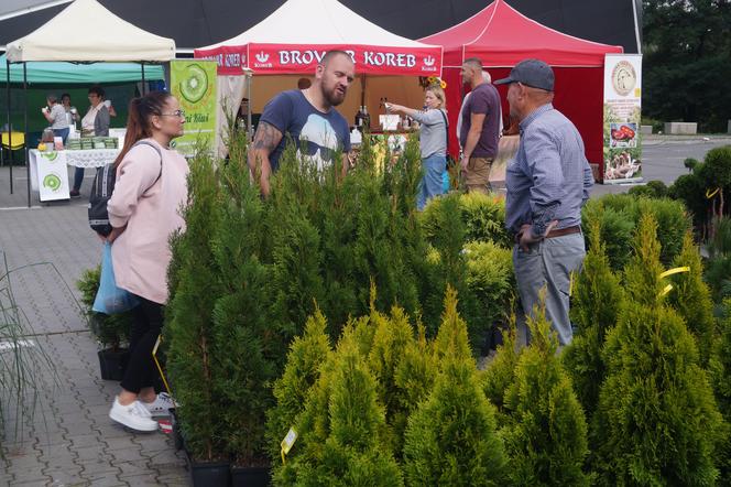 Jesienny Kiermasz Ogrodniczy 2023. Tłumy przy bydgoskim "Torbydzie" [ZDJĘCIA]