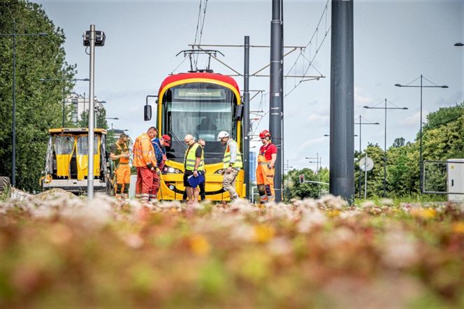  Tramwaj na Stegny. Trwa budowa nowej trasy 
