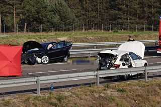 Jeżowe. Śmiertelny wypadek na S-19. Nie żyją kobieta i mężczyzna ze skody [ZDJĘCIA]