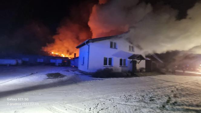 Pożar kurnika połączonego z budynkiem mieszkalnym pod Gorzowem