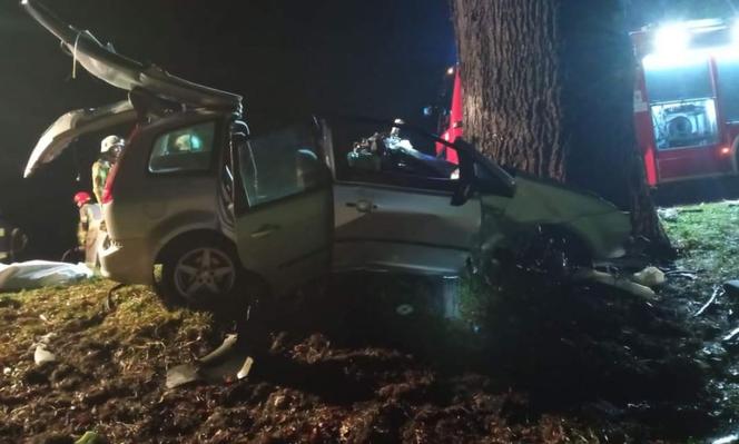 Tragiczny wypadek w Ściborzu