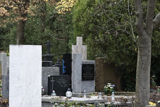 Tak wyglądają groby Zapasiewicza, Tyma, Kołaczkowskiej, Stoparczyk