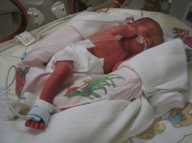 Zosia