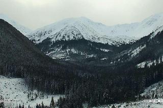 Dolina Chochołowska