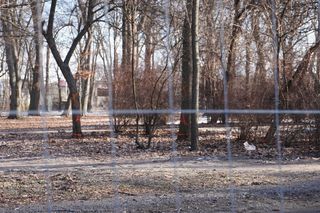 Zakaz wstępu do jednego z najstarszych parków w Lublinie. Teren został ogrodzony